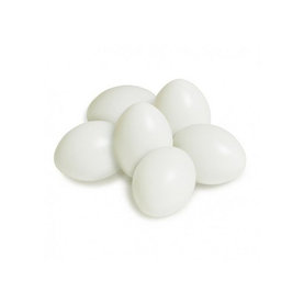 Podkladové vajíčka 50 ks