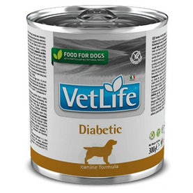 Farmina Vet Life dog diabetic konzerva 300g