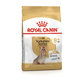 Royal Canin BHN YORKSHIRE ADULT 8+ granule pre psy 500g