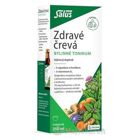 SALUS Zdravé črevá bylinné tonikum 250 ml