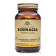 Solgar Echinacea 100 ks