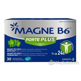 MAGNE B6 FORTE PLUS