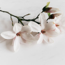 Sprchový krém Magnolia AROMA NATURAL 400 ml