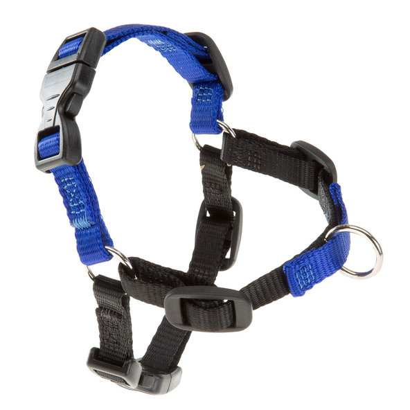 Ferplast COACH P S-M HARNESS BLUE