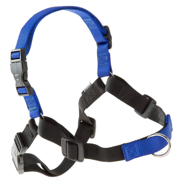 Ferplast COACH P L-XL HARNESS BLUE