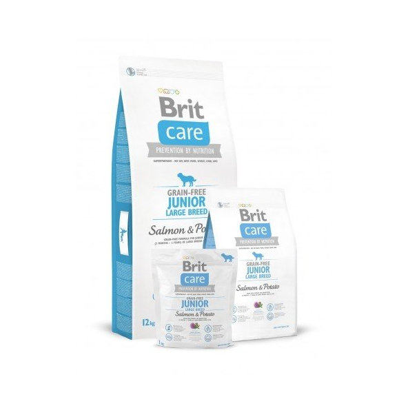 BRIT Care Brit Care GF Junior Large  Salm/Potato 3 (bledomodrá)