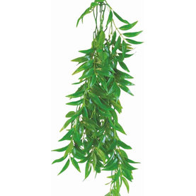 Happet FICUS LONGIFOLIA 50cm - plastová rastlina do terária