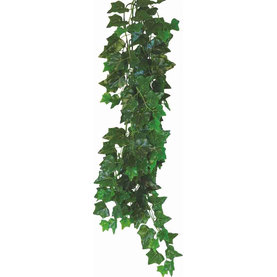 Happet HEDERA HELIX 50cm - rastlina do terária