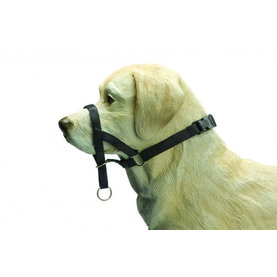 Beeztees DOG CONTROL 2  ohlávka na psa 24cm