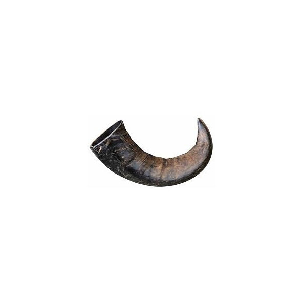 Trixie Natural buffalo (bovine) chewing horn, large