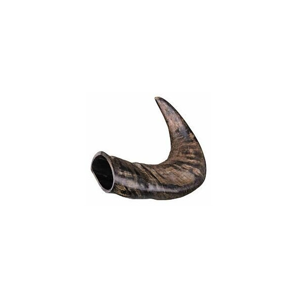 Trixie Natural buffalo (bovine) chewing horn, medium