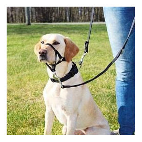 TRIXIE Top Trainer training harness tréningová ohlávka pre psy M, black