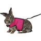 Trixie Soft harness with leash, large rabbits, 25–40 cm, 1.20 m