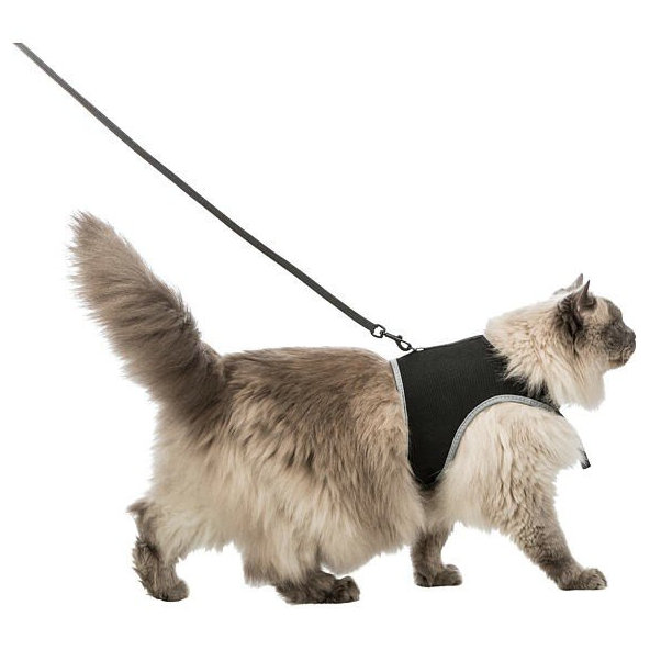 Trixie Soft harness cat, with leash XXL, 36–54 cm, 1.20 m, black