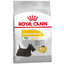 Royal Canin CCN Mini Dermacomfort granule pre malé psy 3kg