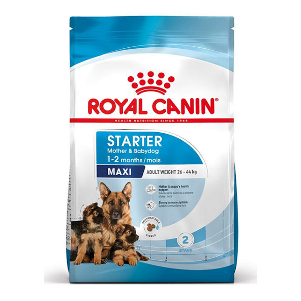 Royal Canin SHN MAXI STARTER M&B granule pre psy 4kg
