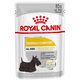 Royal Canin CCN Wet Dermacomfort kapsičky pre dospelé psy s citlivou pokožkou 12x85g