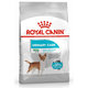 Royal Canin CCN Mini Urinary Care granule pre dospelých malých psov 3kg