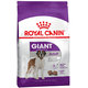 Royal Canin SHN GIANT ADULT granule pre dospelé psy obrích plemien 15kg