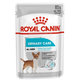 Royal Canin CCN Wet Urinary mäsové paštéty v kapsičkách pre psy 12 x 85g