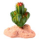REPTILE NOVA Plastová rastlina do terária - kaktus malý 10cm