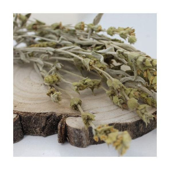 Mursalský čaj, ranhoj horský,  - vňať - Sideritis scardica - Herba sideritis scardica