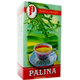Agrokarpaty Čaj Palina pravá 20 x 2 g