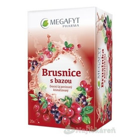 MEGAFYT Brusnice s bazou ovocný čaj 20x2g (40g)