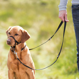 TRIXIE Top Trainer training harness tréningová ohlávka pre psy L, black