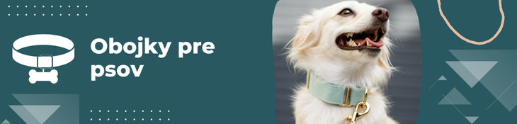 Obojok pre psov