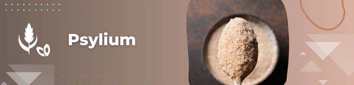 Čo to je a aké má účinky vláknina Psyllium